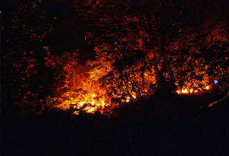 D. Karadeniz'in ciğerleri yandı!