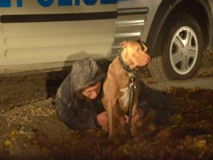 Bonzai içen sahibinin yanına kimseyi yaklaştırmadı