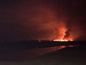 Kuş cennetindeki yangının sebebi avcı katliamı