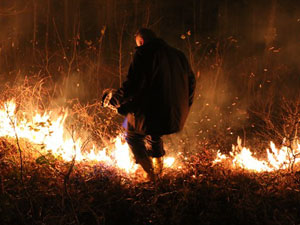 Trabzon'daki yangın söndürülemiyor!