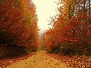 Uludağ sonbaharda bir başka güzel