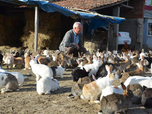 Varını yoğunu tavşanlara adadı