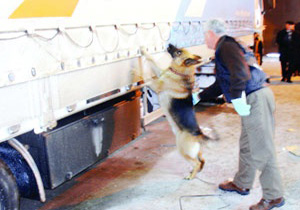 TIR'da 575 kilo eroin ele geçti