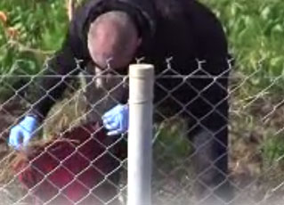 Şok olay! 2 kadın cesedi...