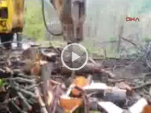 Rizeli'den müthiş odun kırma yöntemi