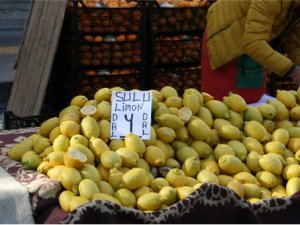 Rusya'nın vazgeçilmezi olan limonun kilosu düşüyor