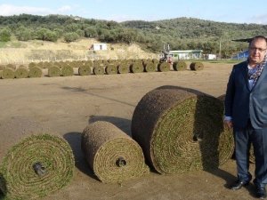 Küçükkuyu Futbol Sahası Çimleniyor
