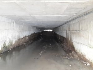 Ordu’da derelerden 50 kamyon atık çıkarıldı: Temizlik hızlandı