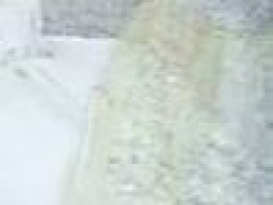 Dünya Bu Fotoğrafı Konuşuyor!