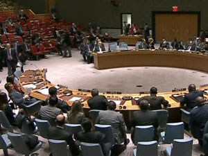 BM'den 'Türkiye ve Irak' kararı