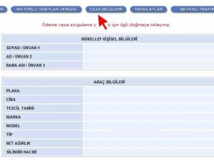Trafik Cezası Ödeme Seçenekleri Nelerdir?