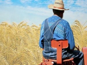 Çiftçi kuraklık tehlikesiyle karşı karşıya