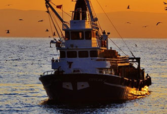 Mezgitte son yılların en verimli sezonu yaşanıyor