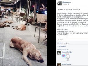 Eskişehir’den ’insanlık’ fotoğrafı