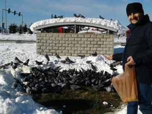Karda Kışta Güvercinleri Aç Bırakmıyor!
