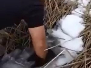 Buz tutan gölette elle balık tuttular