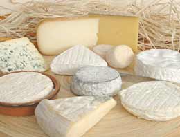 1946 İşyerine Denetim