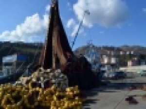 Hamside Sona Doğru...