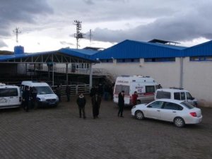 Kapana sıkışarak feci şekilde öldü!