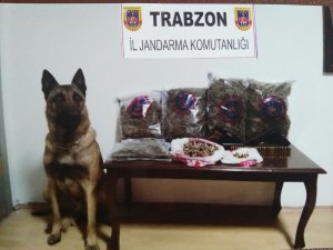 Yomra'da uyuşturucu operasyonu