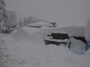 Burası Erzurum Değil Trabzon!