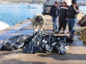 Yine göçmen faciası!