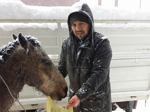 Soğukta kalan atlara yardım!