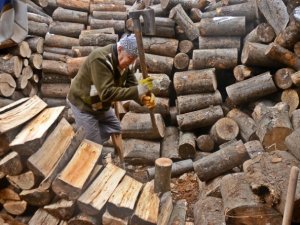 Tek bacağıyla tonlarca yükün altında