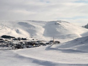 Ardahan’da bir ’Atatürk silueti’ vakası daha