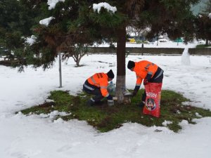 Trabzon'da yemleme istasyonları oluşturuldu!