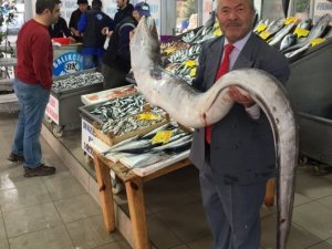 Dev balı görenleri şaşırttı