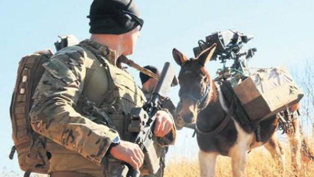 TSK 900 tane eşek ve katır  alacak