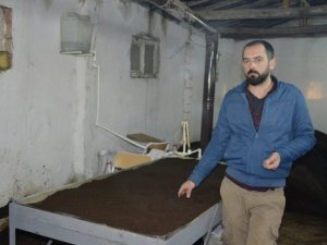 Elinin altında tam 800 bin solucan var