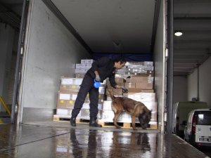 Kaçakçılar Donna'dan kaçamıyor!