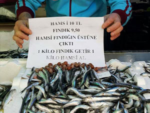 Hamsi komşuya kaçtı