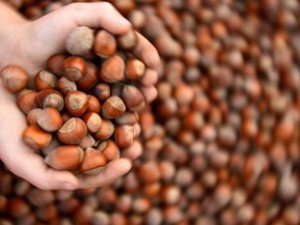 TTB işlem hacminde azalma!