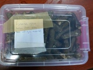 Komandolardan Mesaj Var - Karabük haberleri