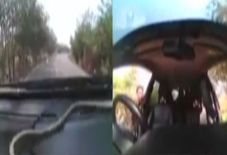 Araçtakilere korkunç sürpriz!