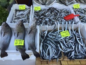 Batı Karadenizde Balık Fiyatları Düştü