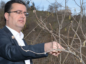 Fındıkta 600 öğrenciye hastalık eğitimi - Ordu Haberleri