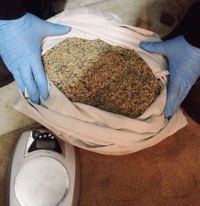 3 gence bonzai cezası