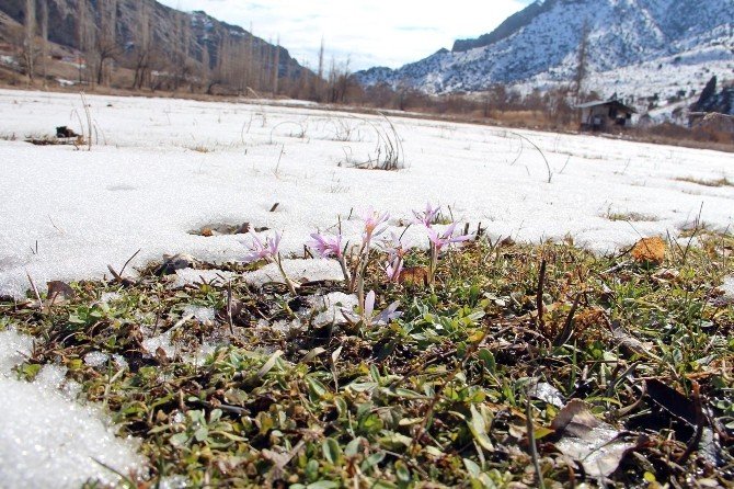 Erzurum Oltu'da bahar havası - Erzurum haber