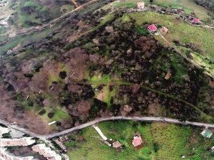 Trabzon'un Botanik Parkı'nda son durum!