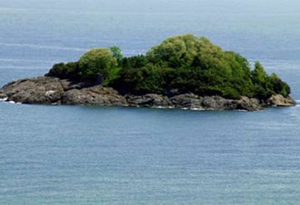 Karadeniz'in tek adasına yüzecekler!