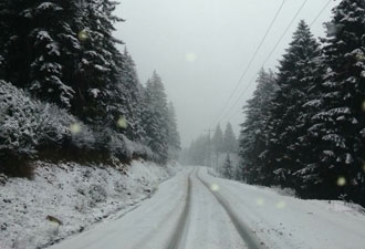 Rizeliler evlerini bulamadı