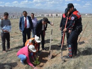 Polisler Fidan Dikti