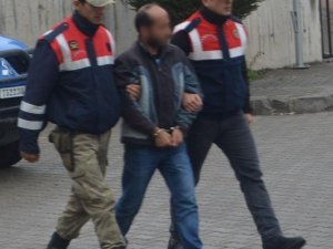 Ordu’da Fındık Hırsızlığı - Ordu haber