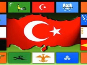 Tükiye'nin siber timi kuruldu