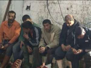 14 at kesilmiş şekilde bulundu