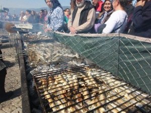 Yüzlerce kişiye 6 ton hamsi!